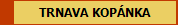 TRNAVA KOP�NKA